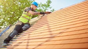  Grant, MN Roofing Service Pros