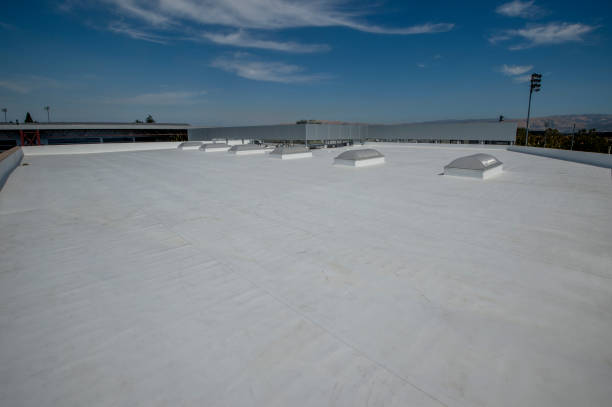 Best Metal Roofing Installation  in Grant, MN