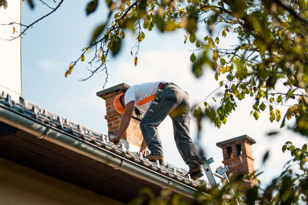 Best Storm Damage Roof Repair  in Grant, MN
