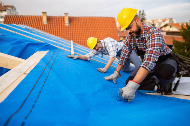 Best Gutter Replacement  in Grant, MN