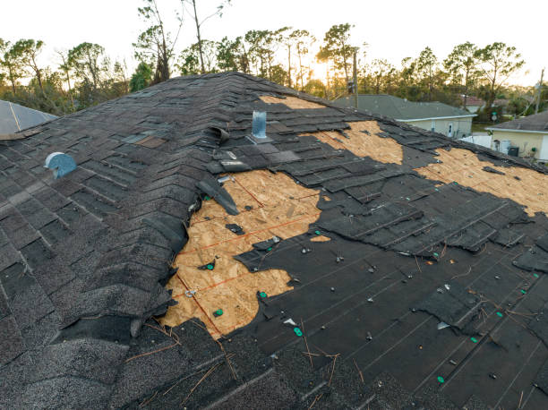 Best Roof Maintenance and Cleaning  in Grant, MN